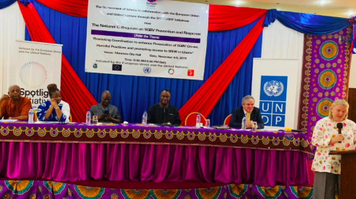 Members of the high table at the National Colloquium on Prevention of SGBV and Response in Liberia